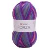 Yarnart Forza 2501 