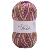 Yarnart Forza 2513  
