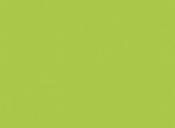 Фоамиран иранский ЭВА арт. 119 (30), лист 60х70 см, цвет желто-зеленый - интернет магазин Стелла Арт