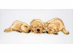 Anchor PCE726    Sleeping Labradors