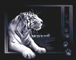 Набор для вышивания Panna Ж-0277 Набор для вышивания Белый тигр