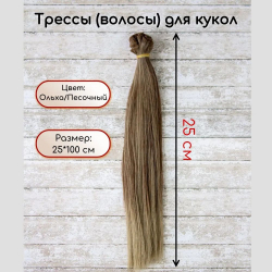 TRP-01/25-013     25   100 , :  /  -    