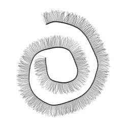 HobbyBe EYL-2      200  x 8 ,   -    