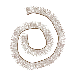 HobbyBe EYL-2      200  x 8 ,  - -    