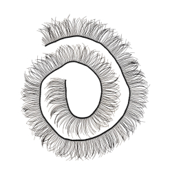 HobbyBe EYL-3      200  x 10 ,   -    