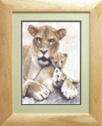 ������ ���� �0489  ����� ��� ������� ��������� ������