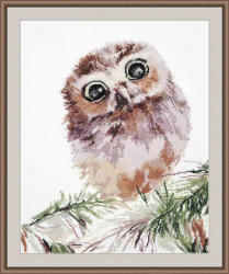 ����� ��� ��������� ���� 956 ����� ��� ��������� ���������