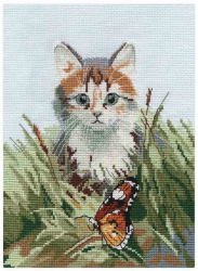 ����� ��� ��������� ���� 1339 ����� ��� ��������� ������������ �������