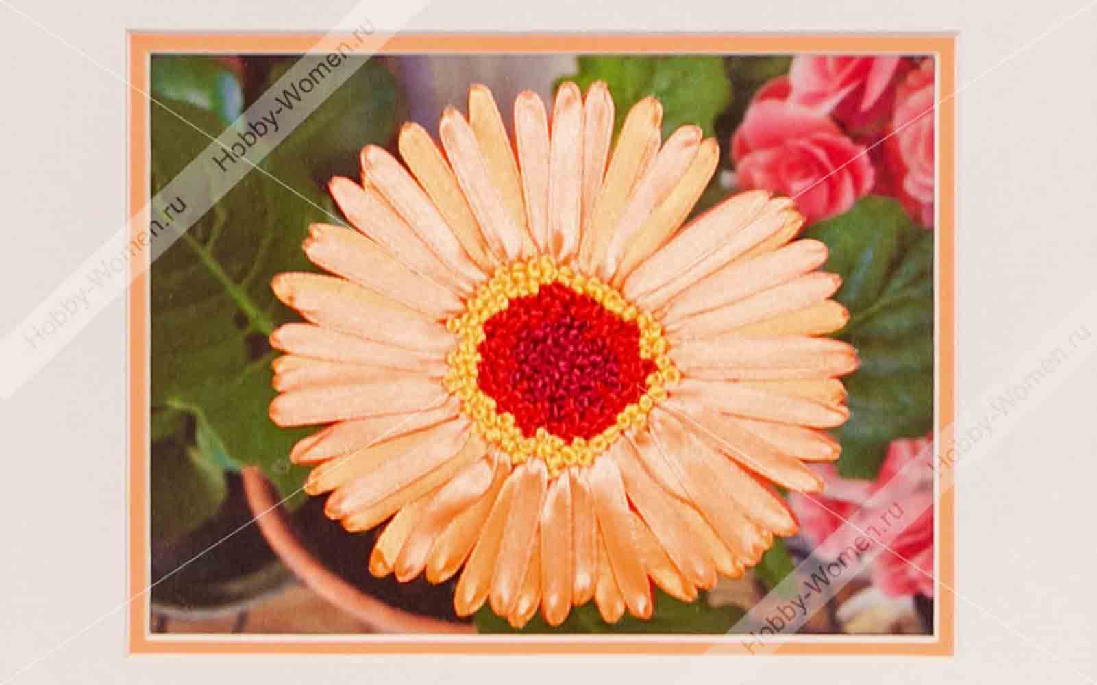 WH ���0020 ����� ��� ��������� ������� �������