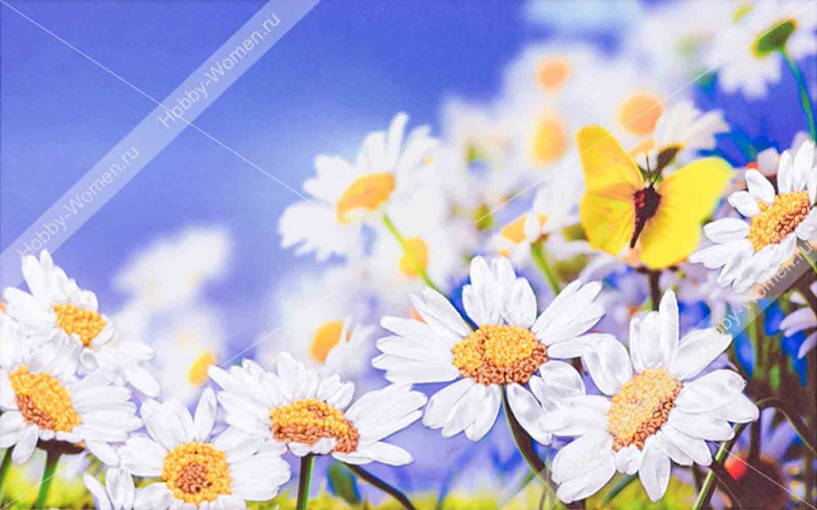 WH ���0016 ����� ��� ��������� ������� ���������� ����