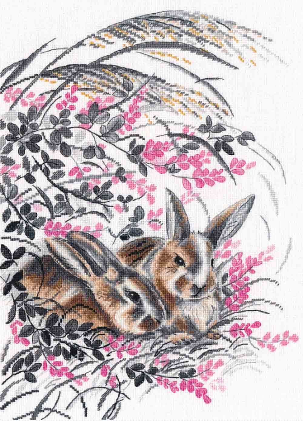 ���� 1428 ����� ��� ��������� �������