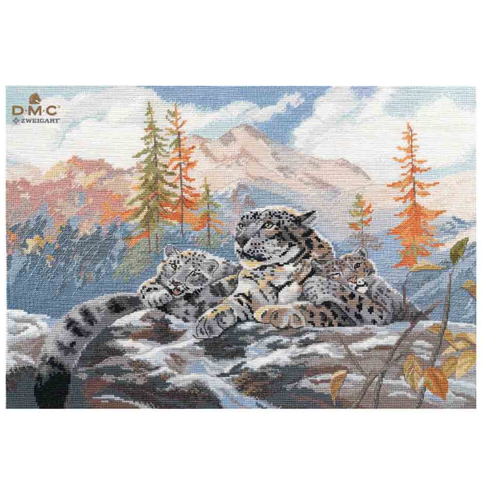 ���� 1342 ����� ��� ��������� ������� �����