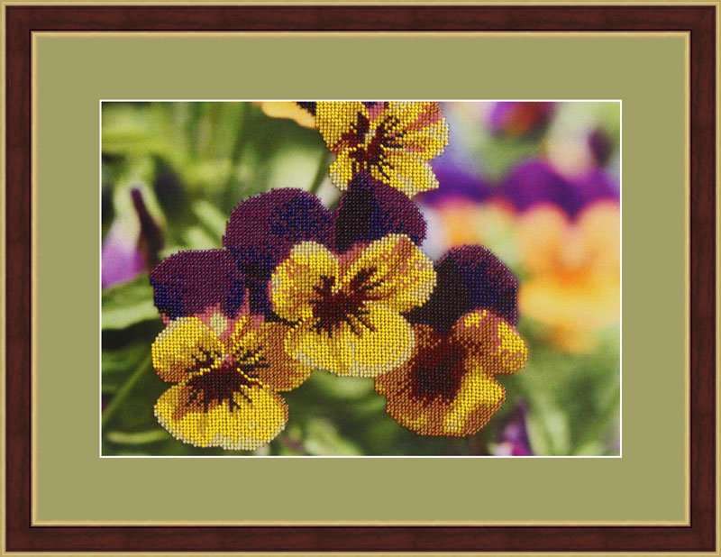 Galla Collection � 316 ����� ��� ��������� ������� ������