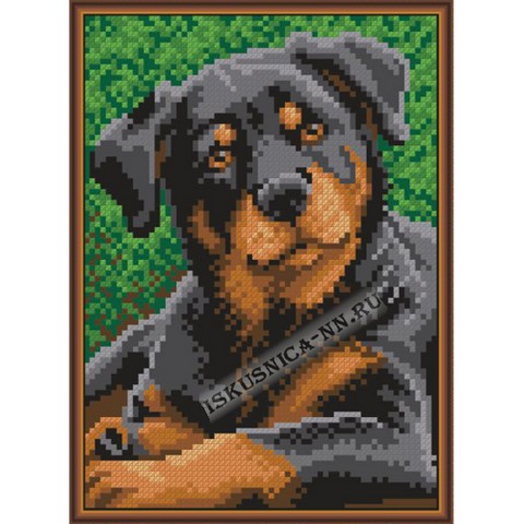  622     