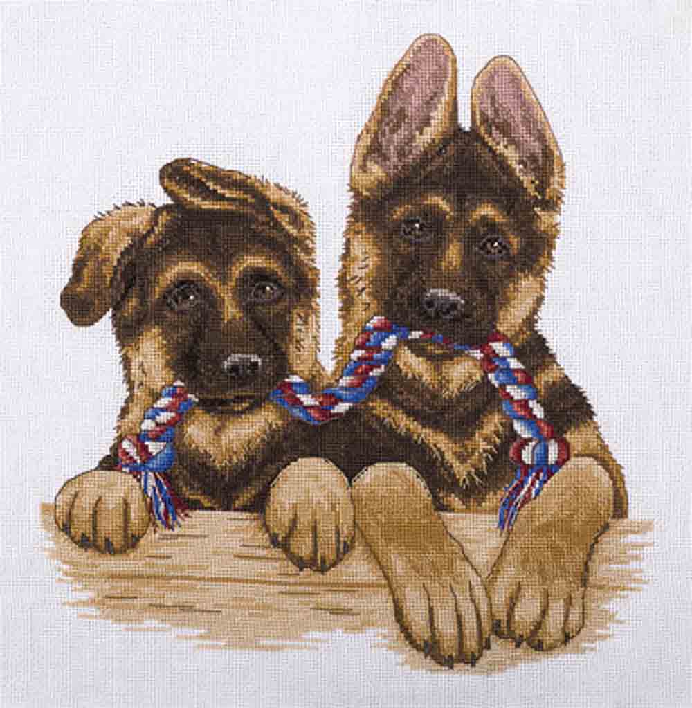 Panna �-1683 ����� ��� ��������� ���� �� �����