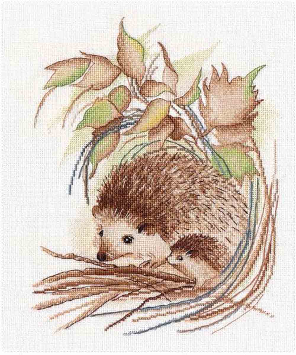 ���� 1349 ����� ��� ��������� �����