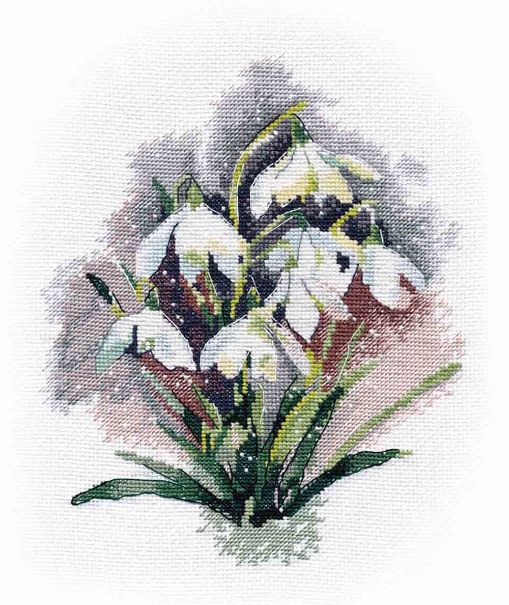 ���� 1292 ����� ��� ��������� ���������