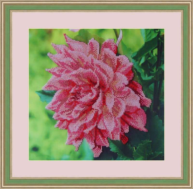 Galla Collection � 315 ����� ��� ��������� �������