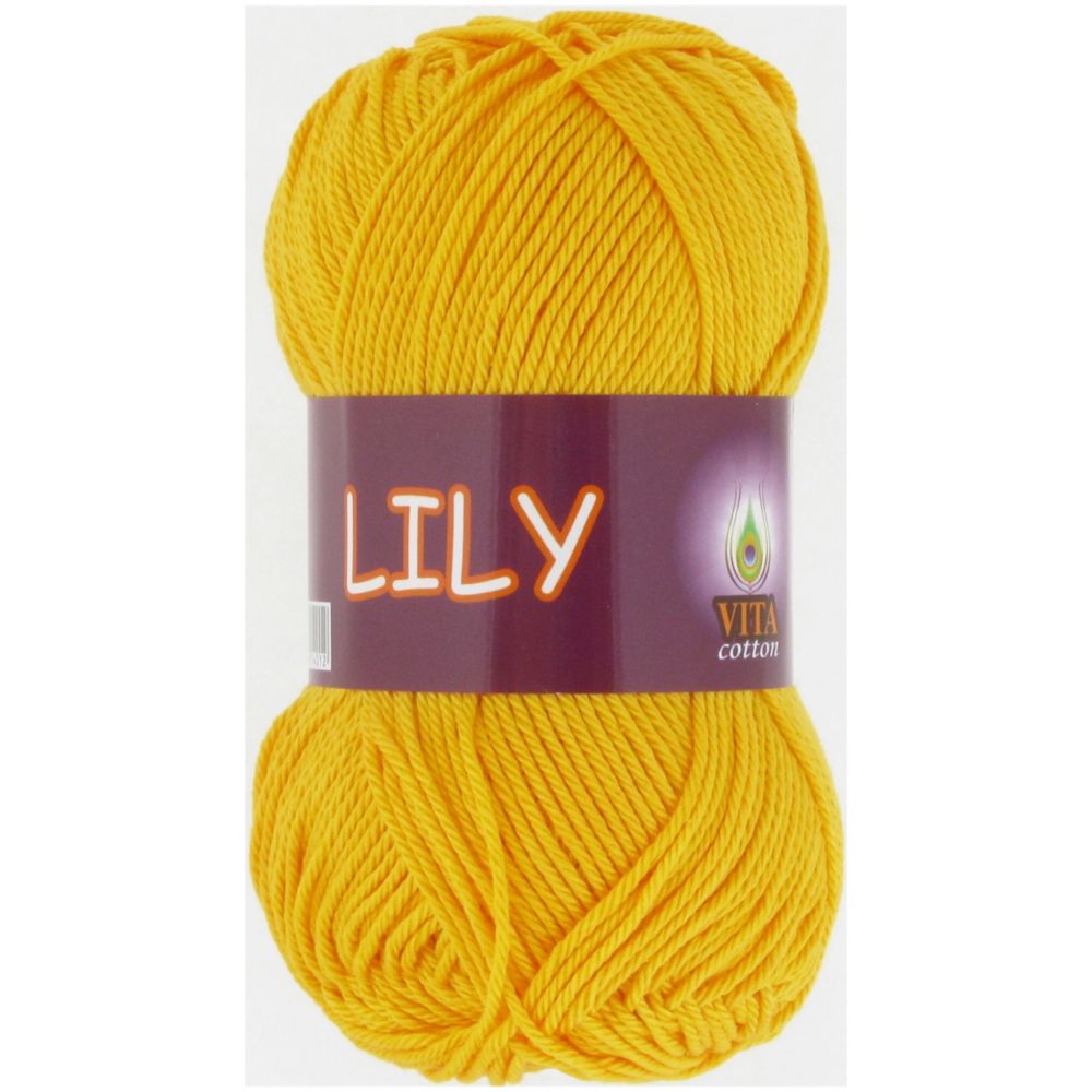 Vita Lily 1634 