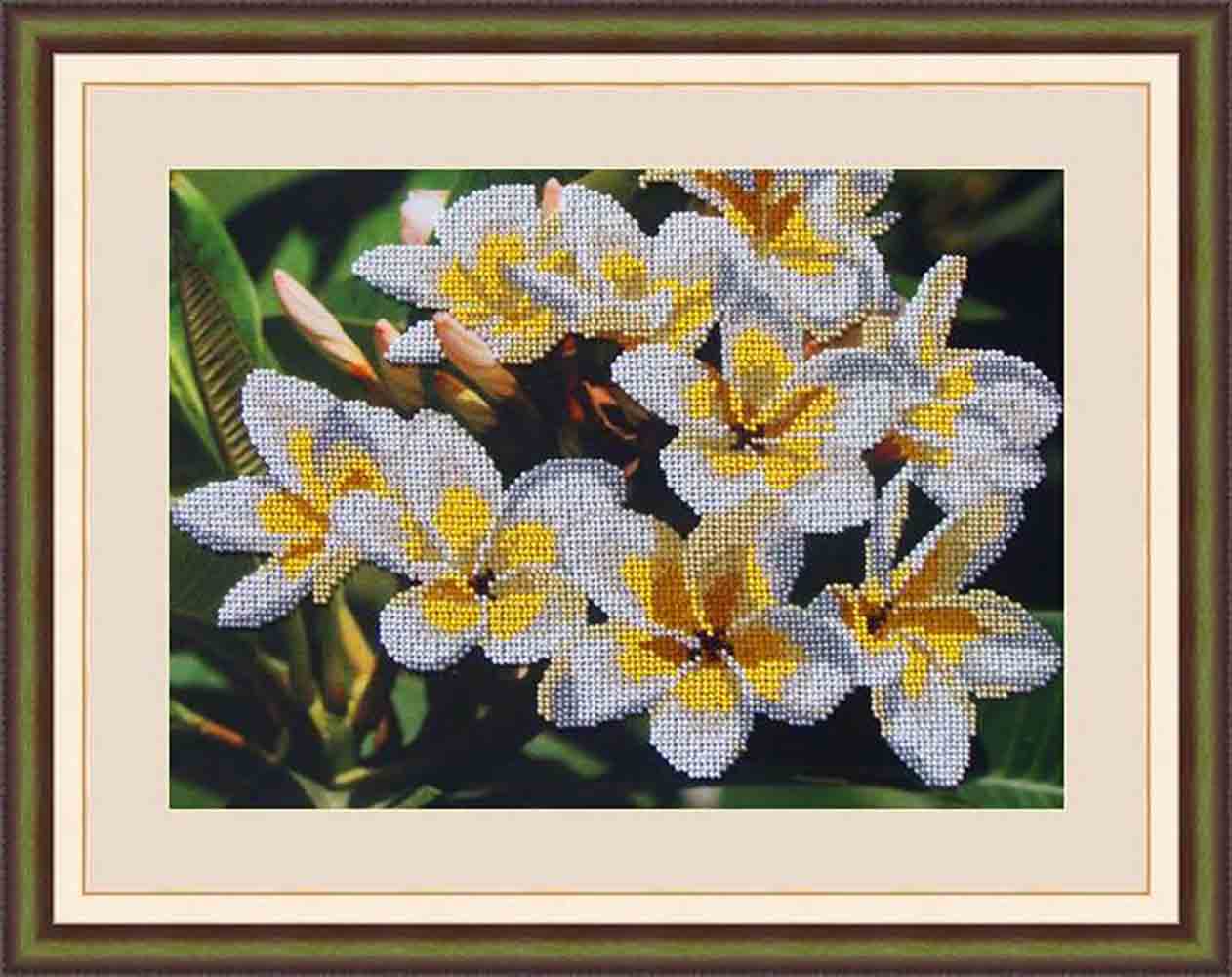 Galla Collection � 314 ����� ��� ��������� ��������