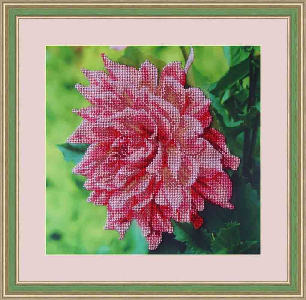 Galla Collection � 315 ����� ��� ��������� �������