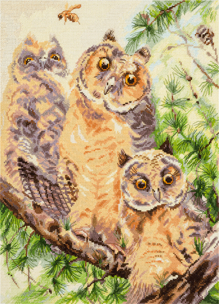 Panna ��-1885 ����� ��� ��������� ���������