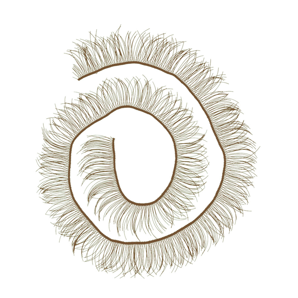 HobbyBe EYL-3      200  x 10 ,  -